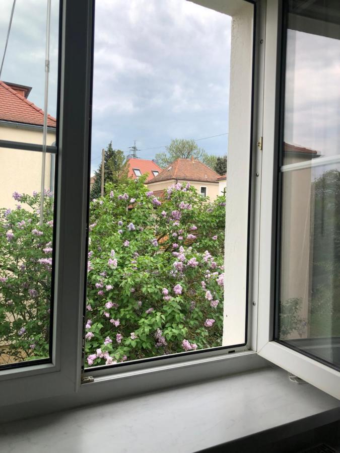 Wohlfuehloase Dresden Nickern Apartman Kültér fotó
